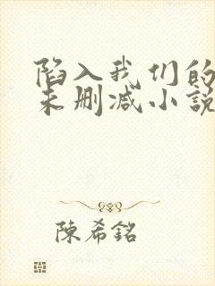 陷入我们的热恋未删减小说