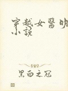 穿越女医明妃传小说