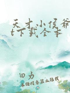 天才小侯爷txt下载全本