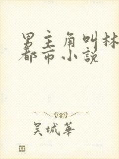 男主角叫林浩的都市小说