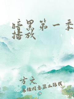 暗黑第一季在线播放