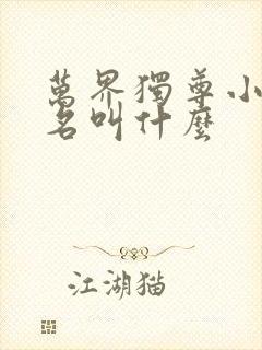 万界独尊小说原名叫什么