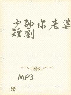 少帅你老婆又跑短剧