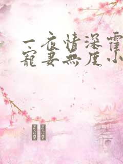 一夜情深霍先生宠妻无度小说免费阅读