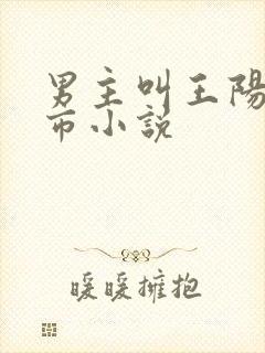 男主叫王阳的都市小说