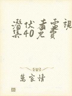 潜伏者电视剧全集40免费