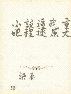 小说逼我重生是吧程逐原文免费阅读
