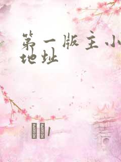 第一版主小说网地址