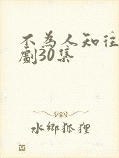 不为人知往事短剧30集