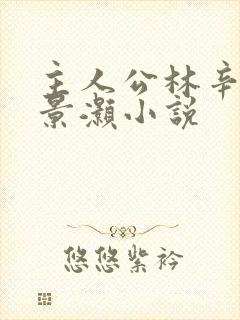 主人公林辛言宗景灏小说