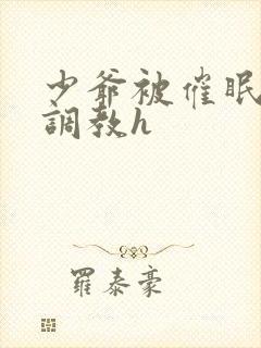 少爷被催眠玩弄调教h