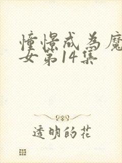 憧憬成为魔法少女第14集