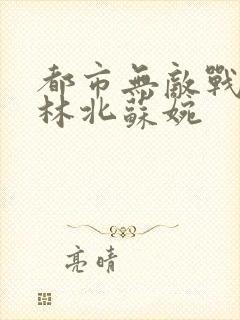 都市无敌战神 林北苏婉