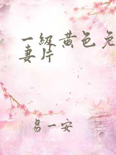 一级黄色免费夫妻片