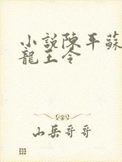 小说陈平苏雨琪龙王令