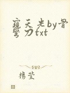窥天光by骨色弯刀txt