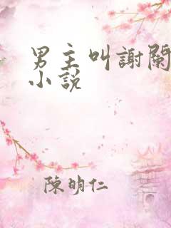 男主叫谢阑深的小说