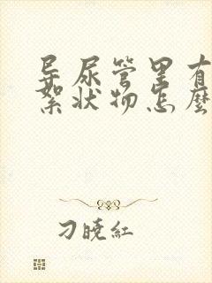 导尿管里有血丝絮状物怎么回事