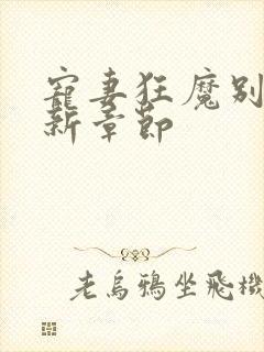 宠妻狂魔别太坏新章节