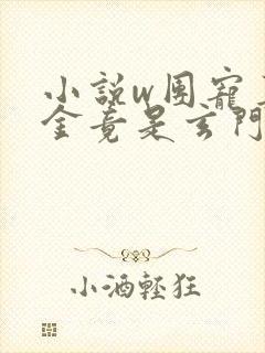 小说w团宠真千金竟是玄门大佬》