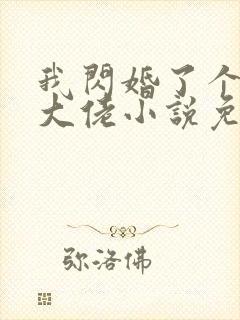 我闪婚了个财阀大佬小说免费阅读