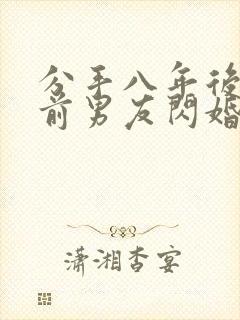 分手八年后我和前男友闪婚了剧情