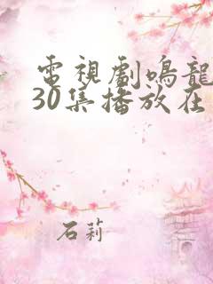 电视剧鸣龙少年30集播放在线观看