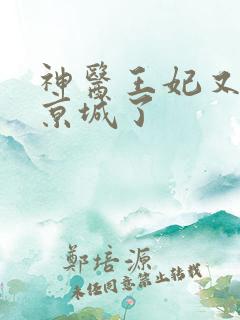 神医王妃又轰动京城了