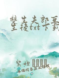双生夫郎互换人生后txt下载