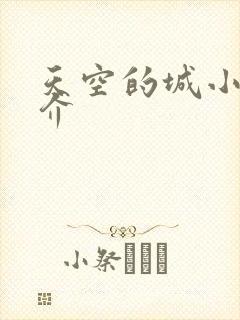 天空的城小说简介