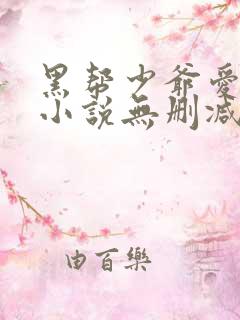 黑帮少爷爱上我小说无删减版