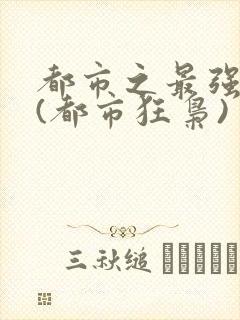 都市之最强狂兵(都市狂枭)