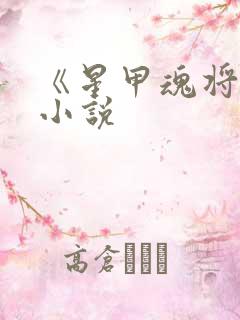 《星甲魂将传》小说