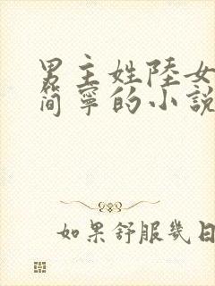 男主姓陆女主叫简宁的小说