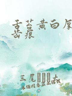 舌苔黄白厚腻有齿痕