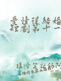 爱情从结婚开始短剧第十一集
