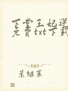 下堂王妃逆袭记免费txt下载