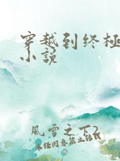 穿越到终极斗罗小说