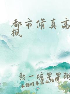 都市修真高手叶枫