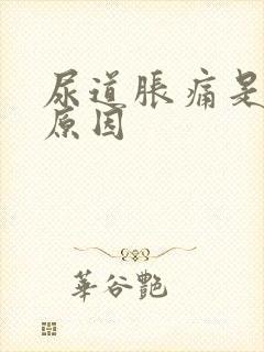 尿道胀痛是什么原因