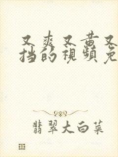 又爽又黄又无遮挡的视频免费看