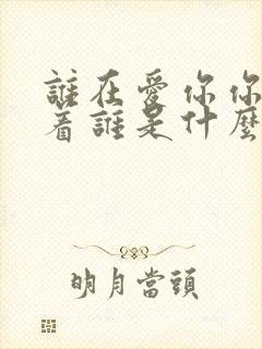 谁在爱你你在爱着谁是什么歌里的词