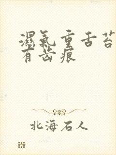 湿气重舌苔白厚有齿痕