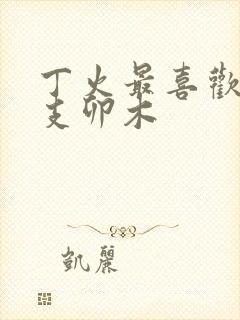 丁火最喜欢的地支卯木