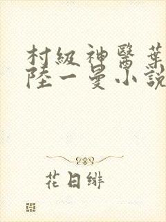 村级神医叶风云陆一曼小说免费阅读