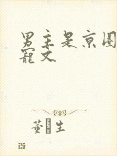 男主是京圈大佬宠文