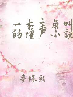 一本主角叫江城的僵尸小说