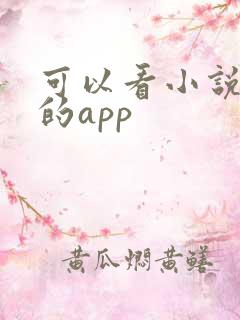 可以看小说挣钱的app