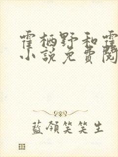 霍栖野和霍深的小说免费阅读