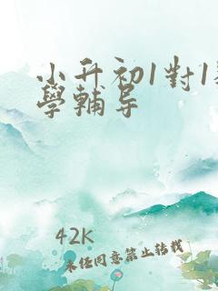 小升初1对1数学辅导